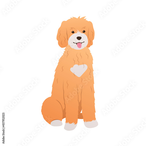 Goldendoodle sitting on white background. Adorable dog colorful cartoon illustration in flat style. Friendly curly-haired puppy