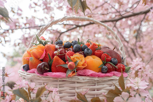 Fototapeta Naklejka Na Ścianę i Meble -  Basket with fruits and flowers on a background of blooming cherries. Natural background. There is a place for text.