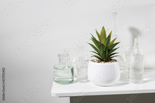 A set of bottles of different shapes with water and a pot with artificial succulent is on the dresser