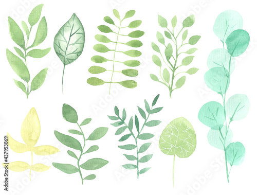 set of watercolor green leaves isolated on white background