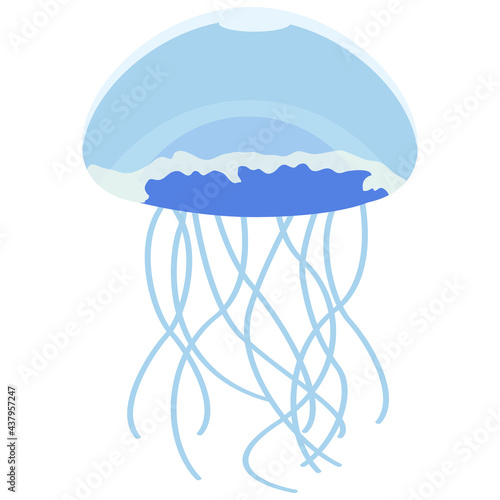 くらげのベクターイラスト素材　クラゲ（水母、海月、水月）