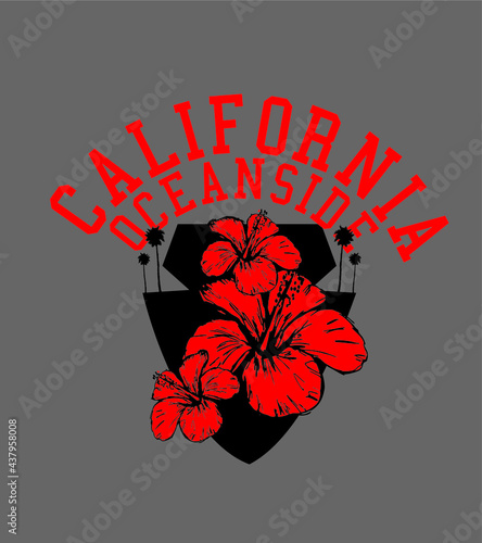 California oceanside beach graphic design vector art