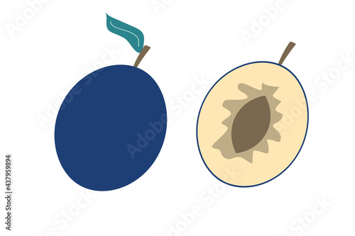 A whole plum and a piece of plum on an isolated white background. Flat vector illustration.