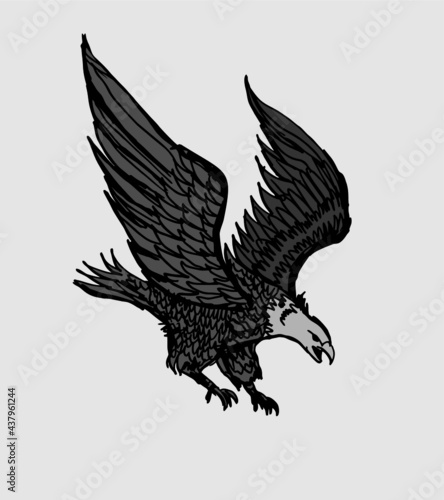 California American eagle graphic design vector art