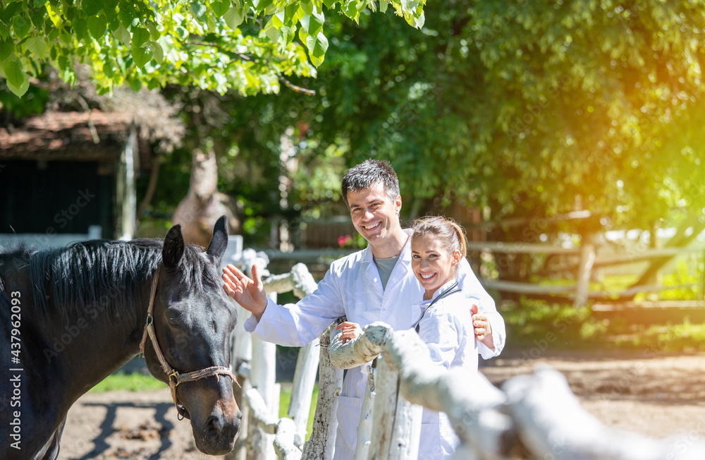 Man and woman vets leaning on fence next to horse looking at camera waving. Man and woman vets leaning on fence next to horse looking at camera waving.