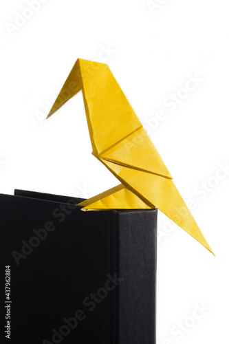 Origami bird made of colored paper isolated on white background