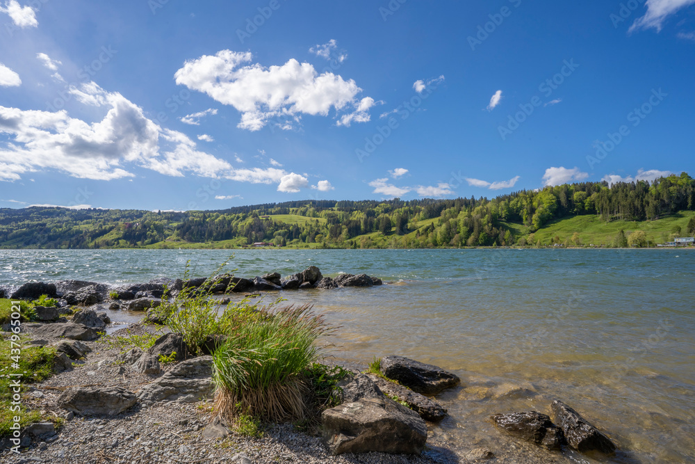 tranquil landscape in early spring at lake Alpsee in the Allgaeu mountains near Immenstadt, Bavaria, Germany tranquil landscape in early spring at lake Alpsee in the Allgaeu mountains near Immenstadt, Bavaria, Germany
