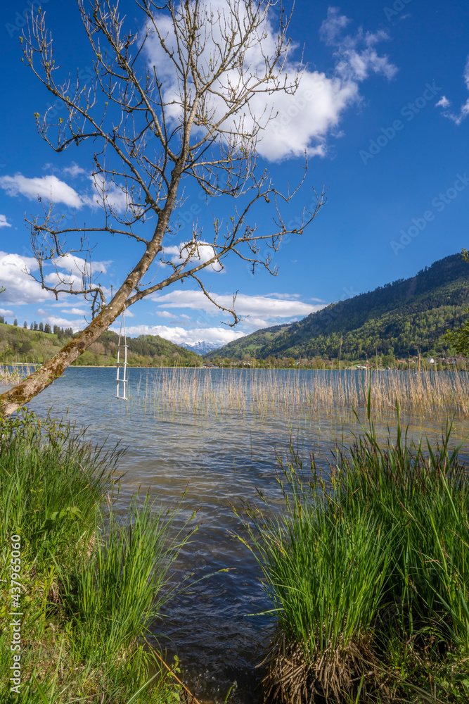 tranquil landscape in early spring at lake Alpsee in the Allgaeu mountains near Immenstadt, Bavaria, Germany tranquil landscape in early spring at lake Alpsee in the Allgaeu mountains near Immenstadt, Bavaria, Germany