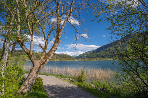 tranquil landscape in early spring at lake Alpsee in the Allgaeu mountains near Immenstadt, Bavaria, Germany