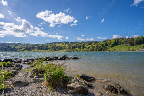 tranquil landscape in early...