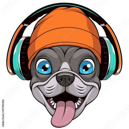 Vector illustration, funny french bulldog in headphones