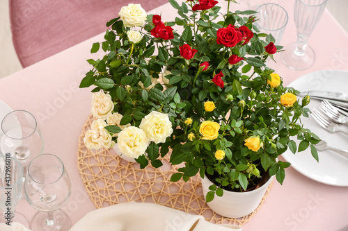 Potted miniature rose plants with red, yellow, and white blooms on a dining table with place settings