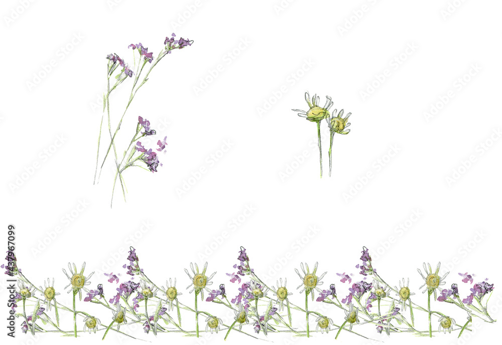 Watercolor small flowers, purple limonium and daisies, elements and stripe. Drawn by hand on white background.