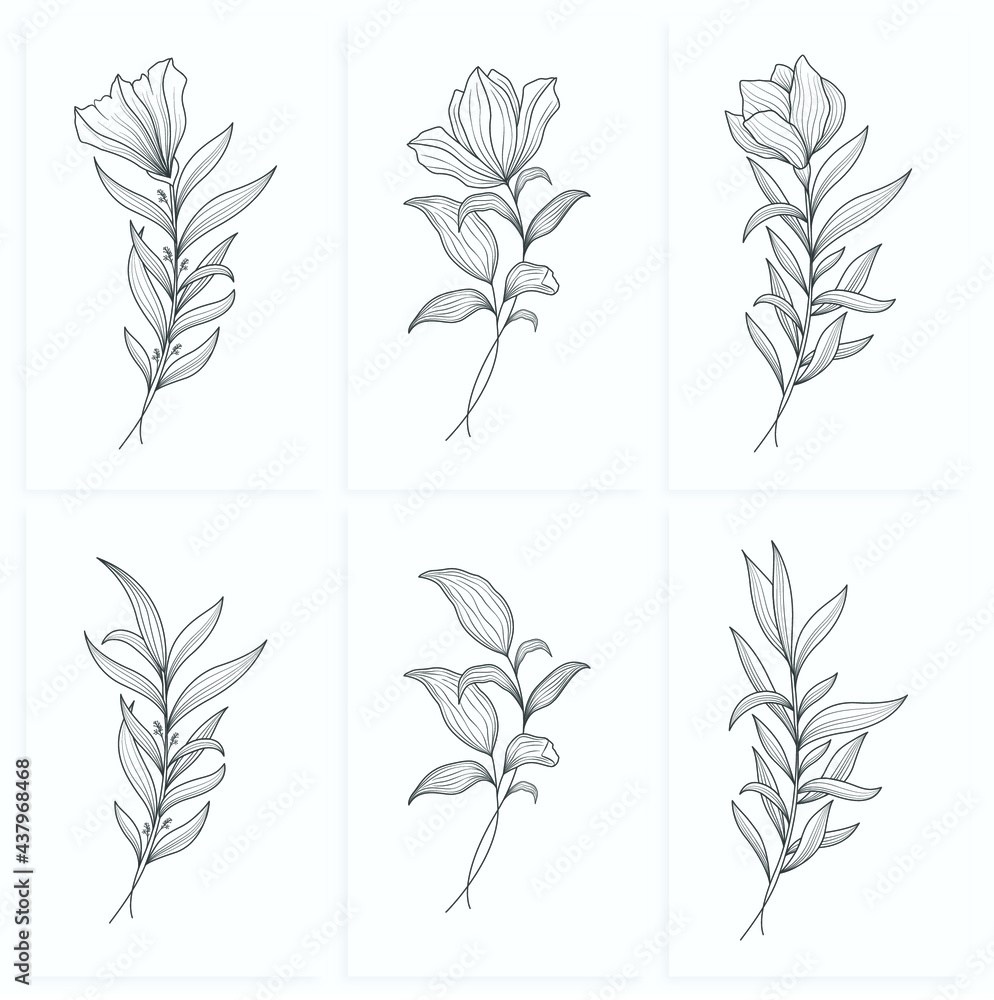 Fototapeta minimalist line art flower illustration with abstract leaves poster design set