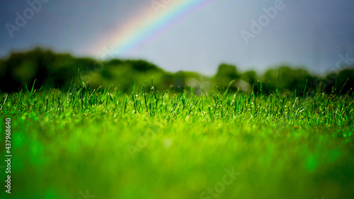 A grassy field during the day with a rainbow in the background.