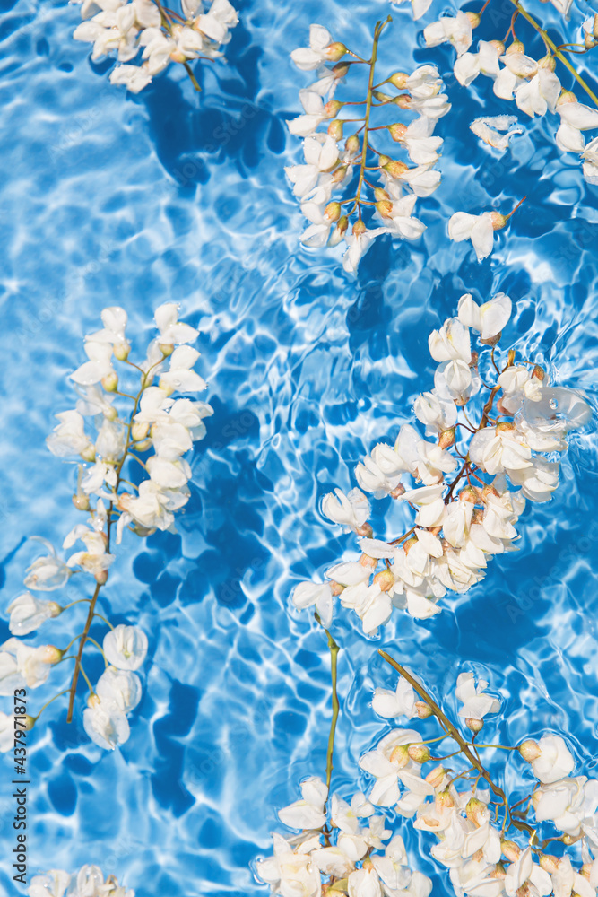 Naklejka premium White acacia flowers in blue transparent water. Summer composition with sun and shadows. Nature concept. Top view. Selective focus