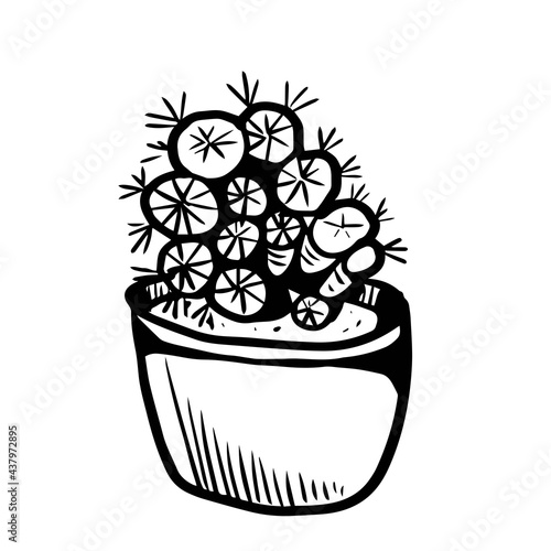 Cacti scandinavian style graphic vector illustration hand drawn doodle sketch set patern print textiles paper nature indoor plants in pots mexico exotic succulents. Boho hugo vintage