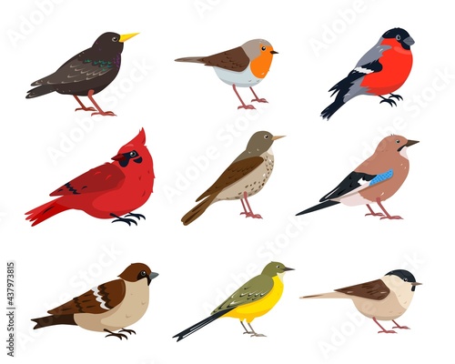 Small Birds icons in different poses isolated on white