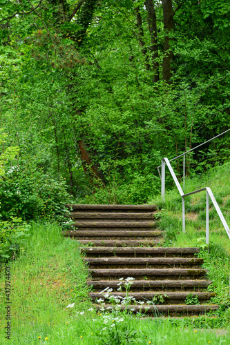 Stairs with metal handrails in the Park in spring