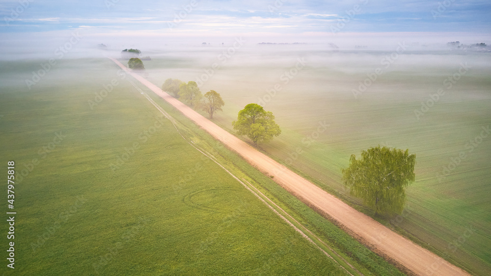 Aerial view of rural dirt road and trees covered by fog. Early misty morning. Spring summer fields. Rainy overcast moody weather
