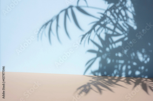 Palm leaves shadow on blue wall background and beige pastel floor. Summer tropical beach background. Empty room for product presentation. Minimal concept.