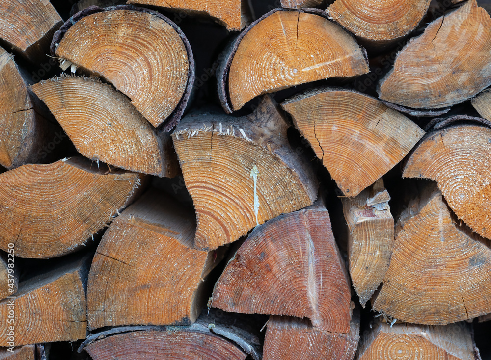 Fototapeta premium Closeup of pieces of chopped firewood with traces of resin, stacked by a wall.