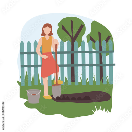 A woman with a shovel digging in a vegetable garden. Agricultural and farm work in the garden. Gardening season, working the land. harvesting potatoes. Vector flat illustration