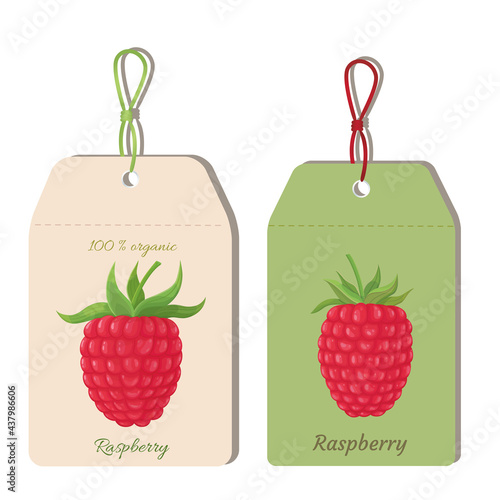 vector graphic label template with raspberry plant