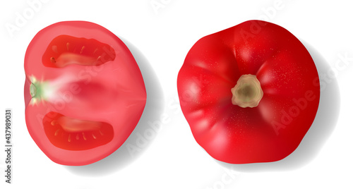 Big realistic vector tomato full and a half isolated on white background. View from top. 3d beautiful red tomato with shadows.