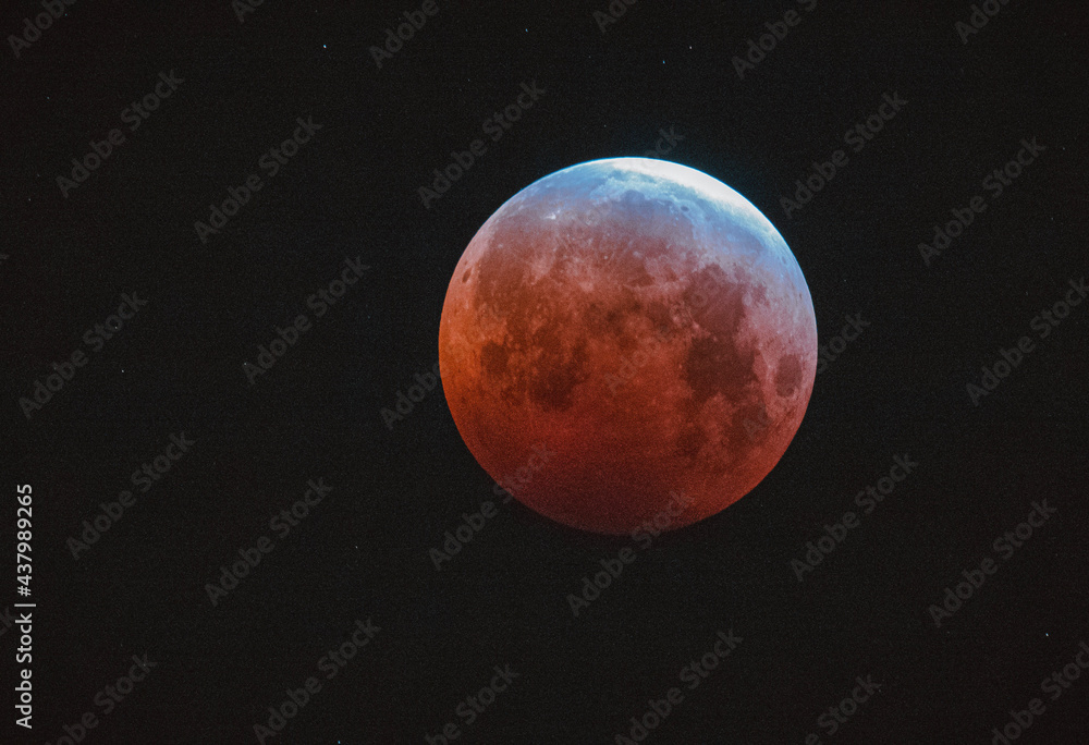 moon moon