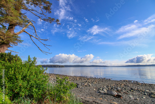 Beautiful beach in Port McNeill on Vancouver Island, north shore. The view on tree branches, pebble beach and the ocean. Blue sky in the background. 