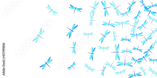 Tropical cyan blue dragonfly flat vector illustration. Summer vivid damselflies. Detailed dragonfly flat girly background. Sensitive wings insects patten. Fragile beings