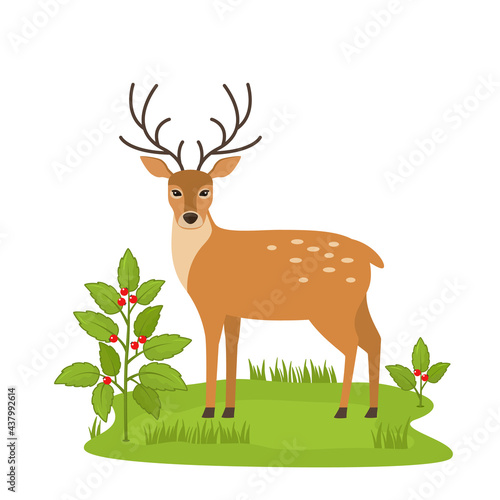 cute deer in a clearing in the forest near a bush with berries and green grass.