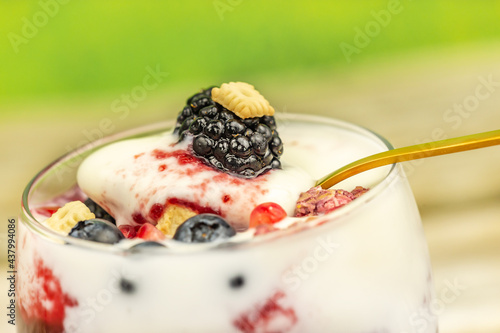 Close-up of a healthy yogurt with pomegranate stones, blackberries, bilberries and muesli photo