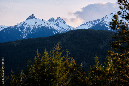 Tantalus Range and forest from Hwy 99 Lookout, Squamish, BC