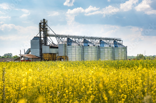 Modern Granary elevator near rapeseed field. Silver silos on agro-processing and manufacturing plant for processing drying cleaning and storage of agricultural products. seed cleaning line