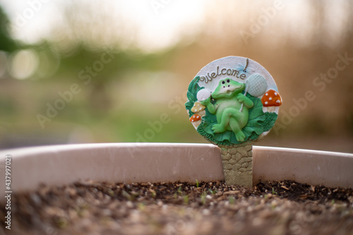 Views of signs in flower pots with bokeh background