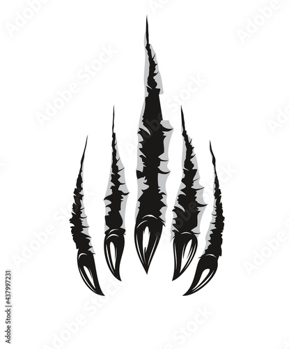 Grizzly bear claw marks and scratches, vector torn cracks of wild animal. Grizzly bear beast paw marks of claws with sharp fissures texture, damaged breaks and hollow scraps, black on white background