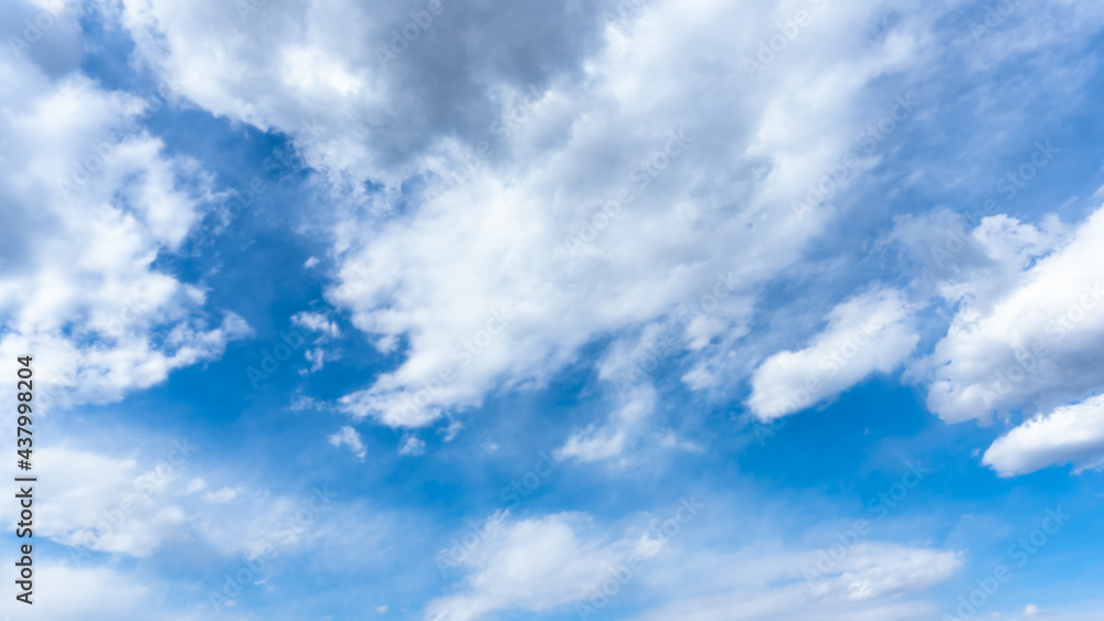 Obraz premium 青空