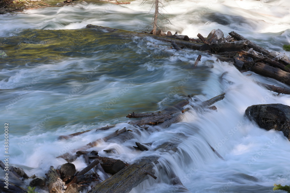 water flowing over trees. river in the mountains water flowing over trees. river in the mountains