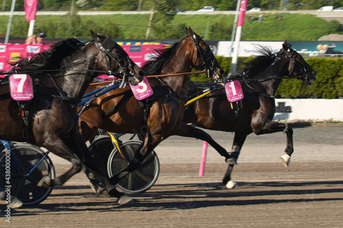 Foto 210530 - Elitloppet trotting event at Solvalla track in Stockholm Sweden