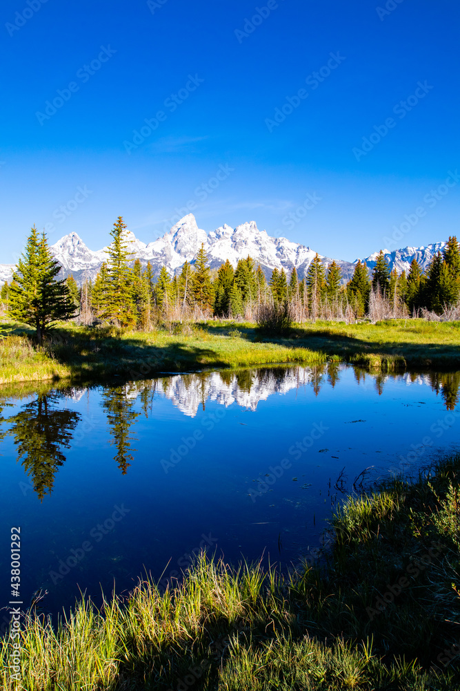 Fototapeta premium Schwabacher Landing in the early morning in Grand Teton National Park, Wyoming, with mountain reflections on the Snake River