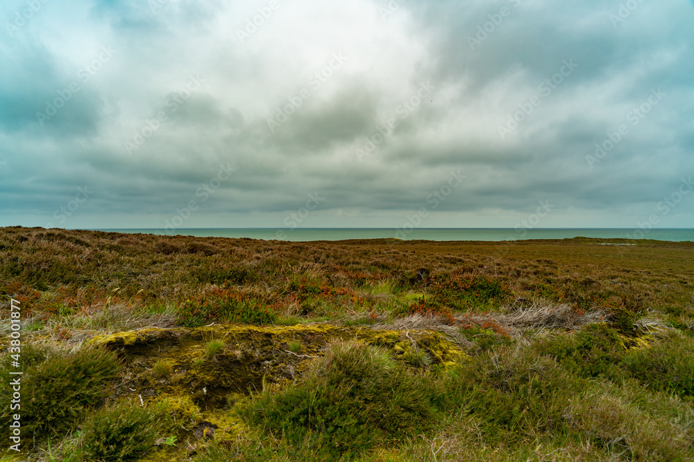 Sylt, Nordsee, Nordseeküste, Dünenlandschaft, Schleswig Holstein, Deutschland Sylt, Nordsee, Nordseeküste, Dünenlandschaft, Schleswig Holstein, Deutschland
