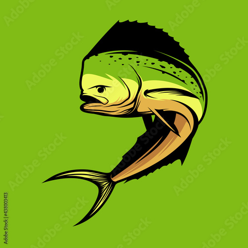 mahi mahi fish vector illustration