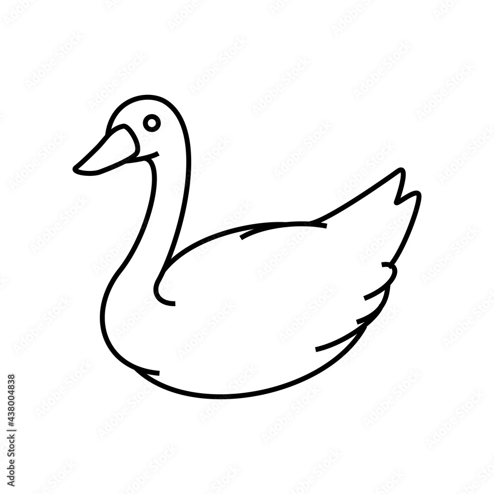 白鳥 白鳥