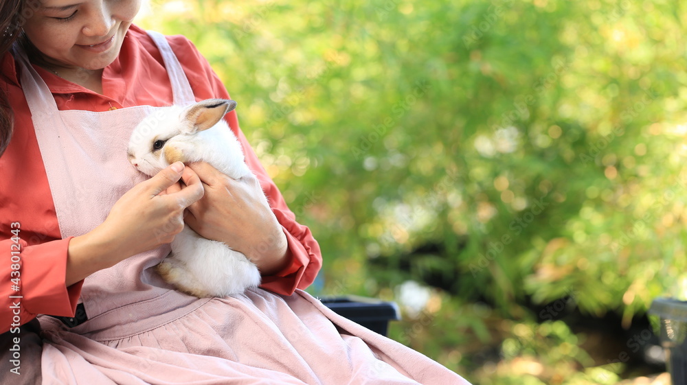 Adorable young rabbit and woman sit together outdoor. Owner care little ...