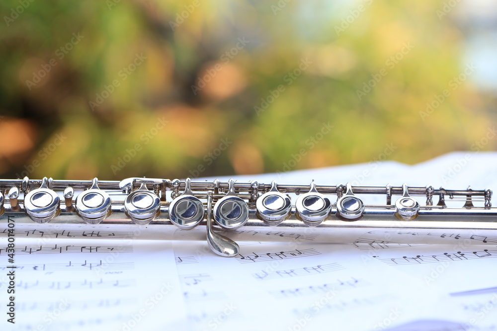 Flute, woodwind brass instrument in classical orchestra. Silver modern