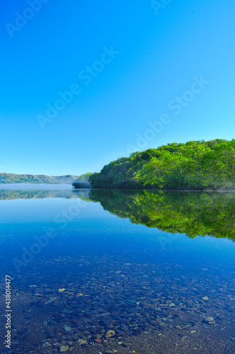 透き通った湖の水面に反射する青空と湖畔の森。