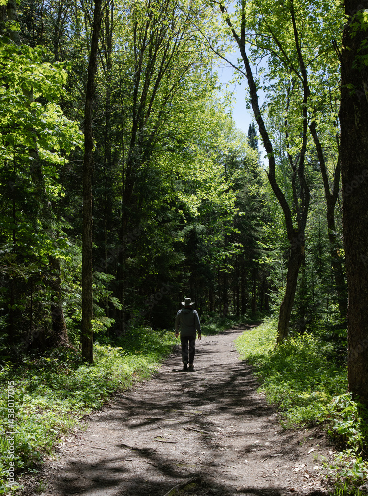 A man walking alone through the forest on a trail in Arrowhead Provincial Park in Ontario