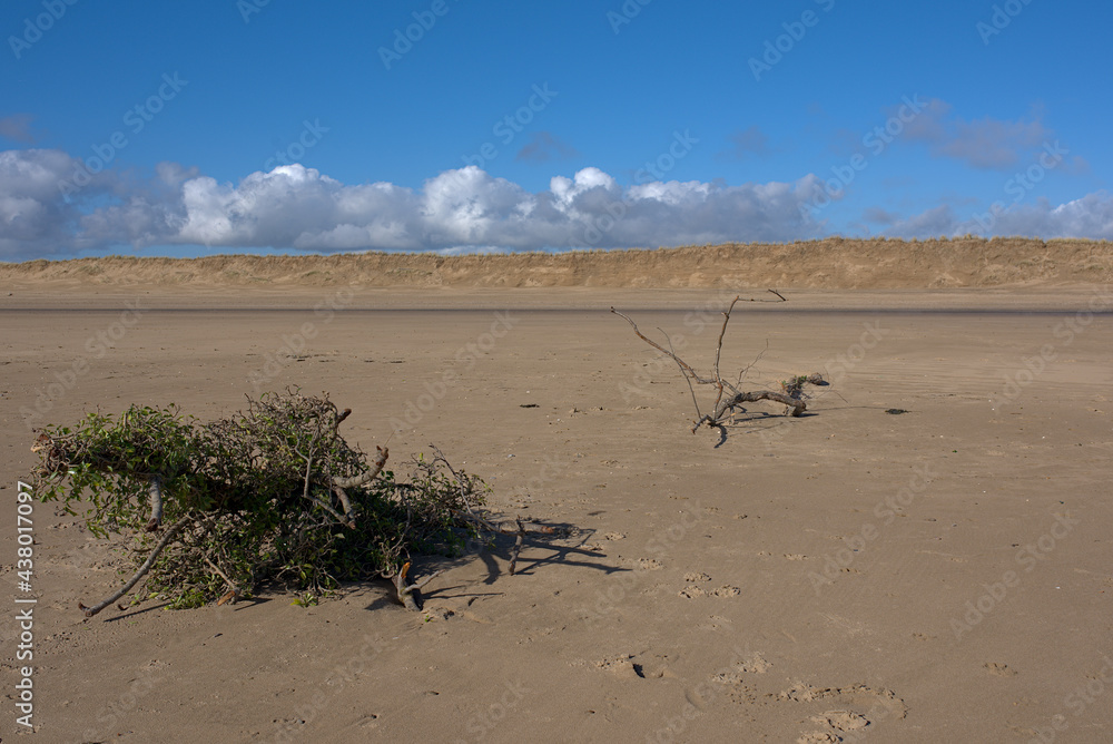 sand dunes on the beach